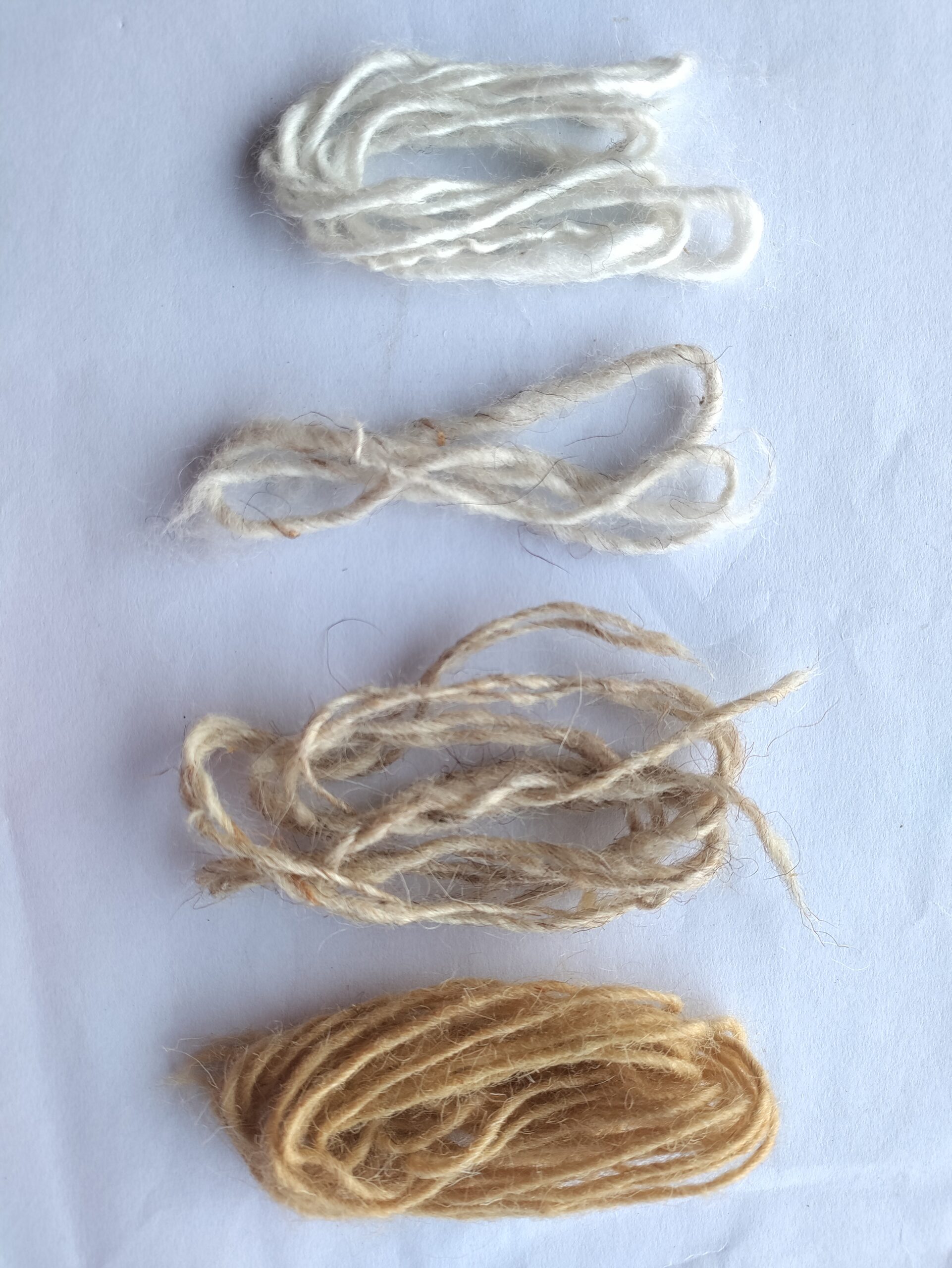 Wiona Hand-Knotted Rug